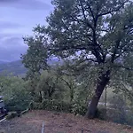 La Quercia Couette-café