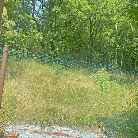 Oda ve Kahvaltı La Quercia *