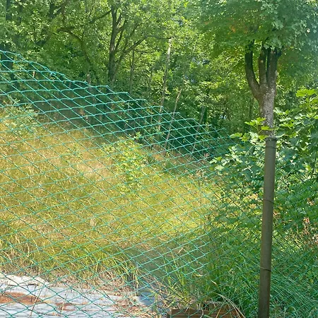 La Quercia Oda ve Kahvaltı