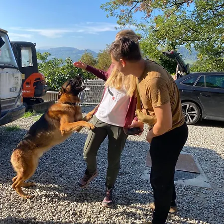 La Quercia * San Benedetto Val di Sambro