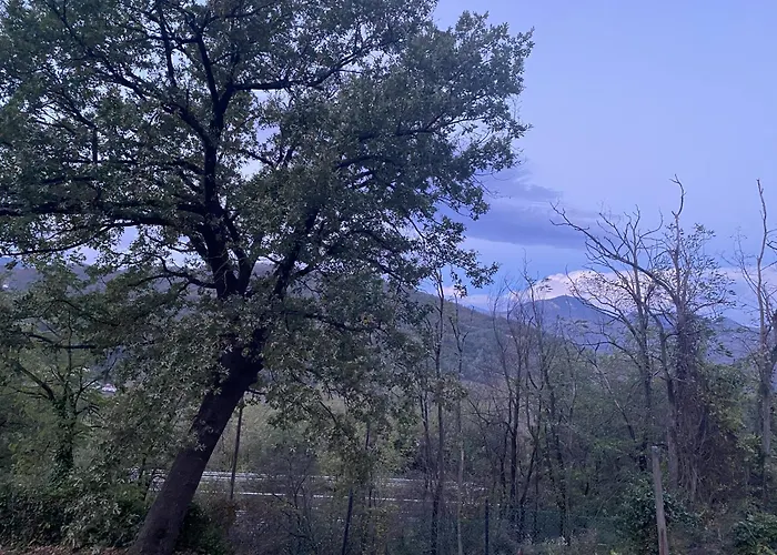 فندق مبيت وإفطار La Quercia *