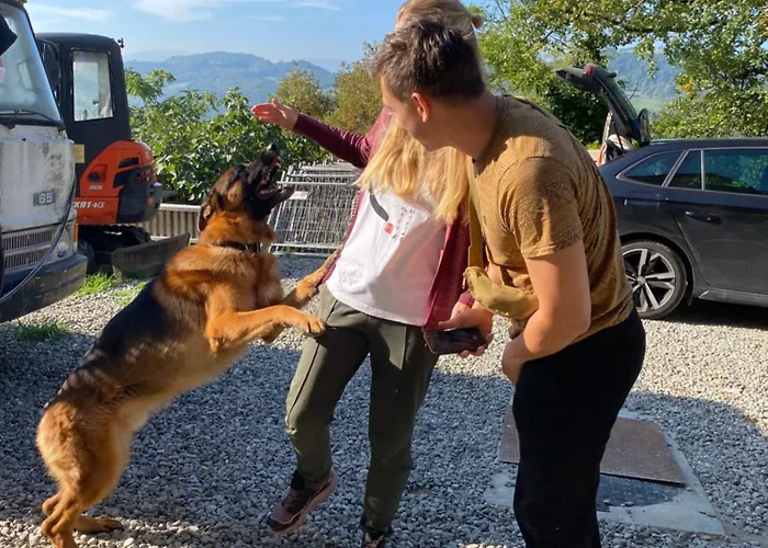 La Quercia * San Benedetto Val di Sambro